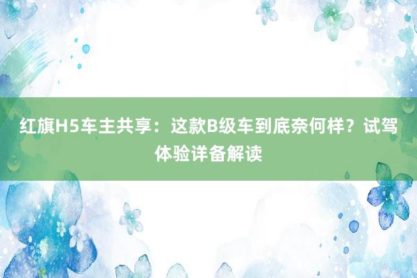 红旗H5车主共享：这款B级车到底奈何样？试驾体验详备解读